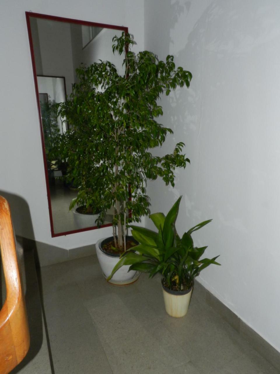 Levak Apartments - Apt. 1 Пьешчана-Увала Экстерьер фото